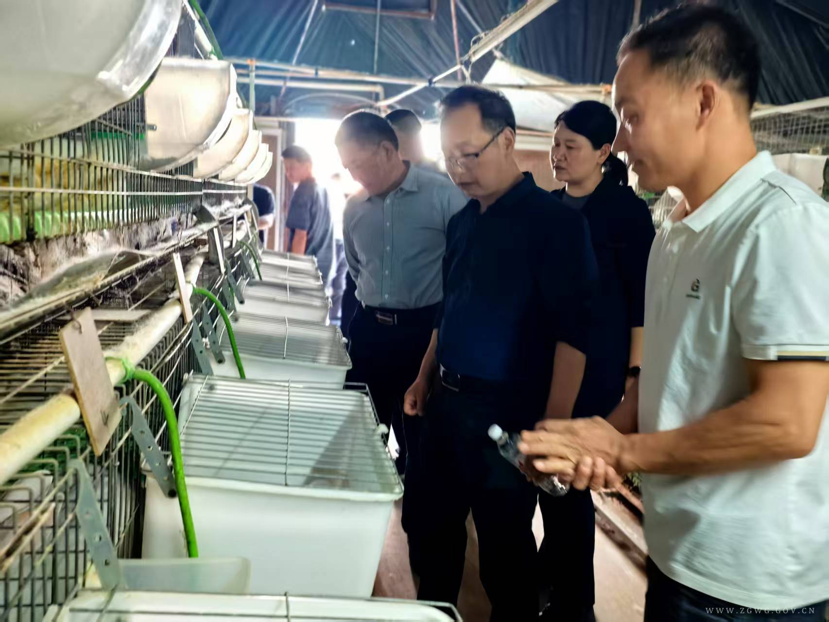 兔子.jpg 兔子.jpg