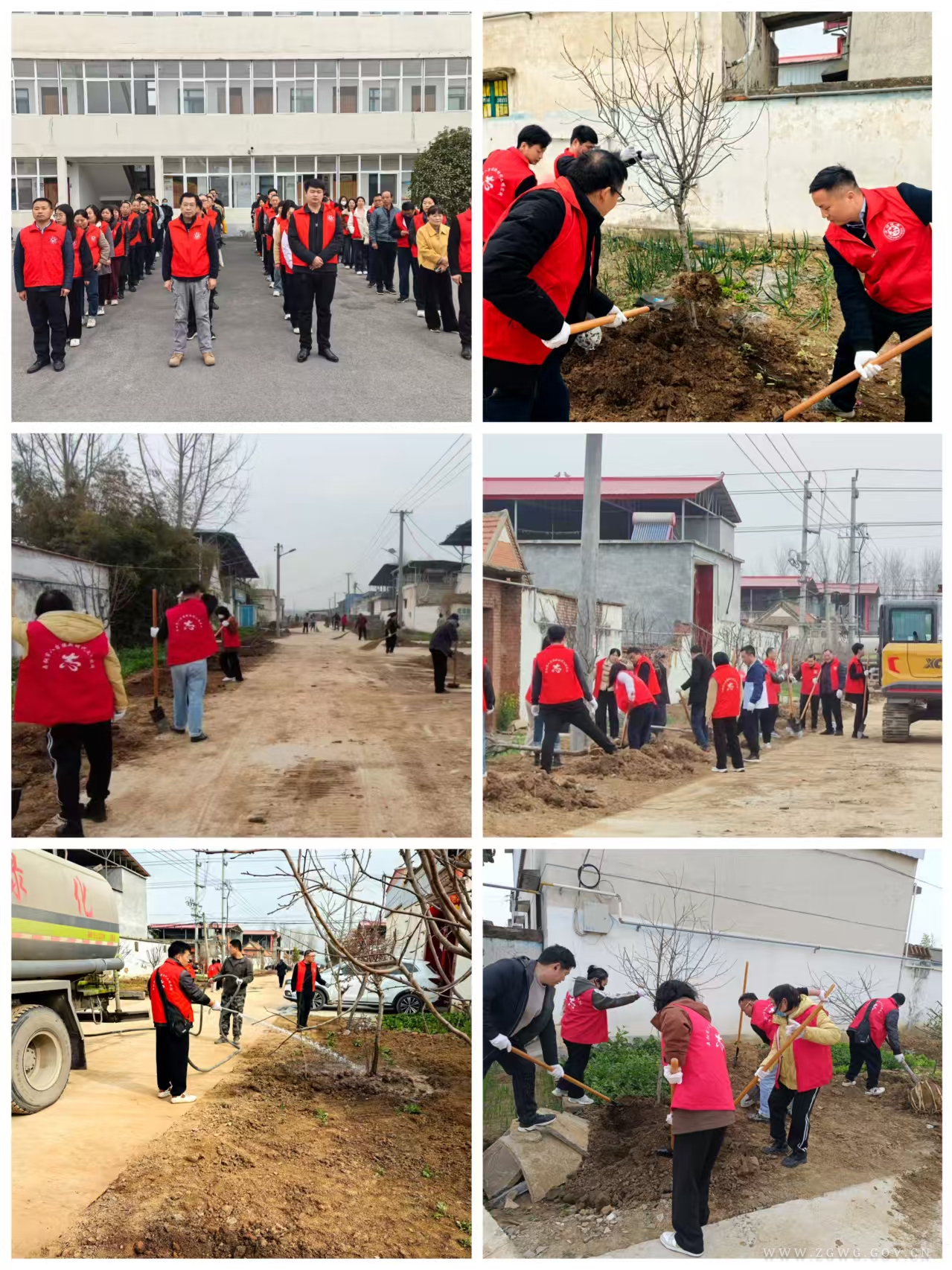 植树.jpg 植树.jpg