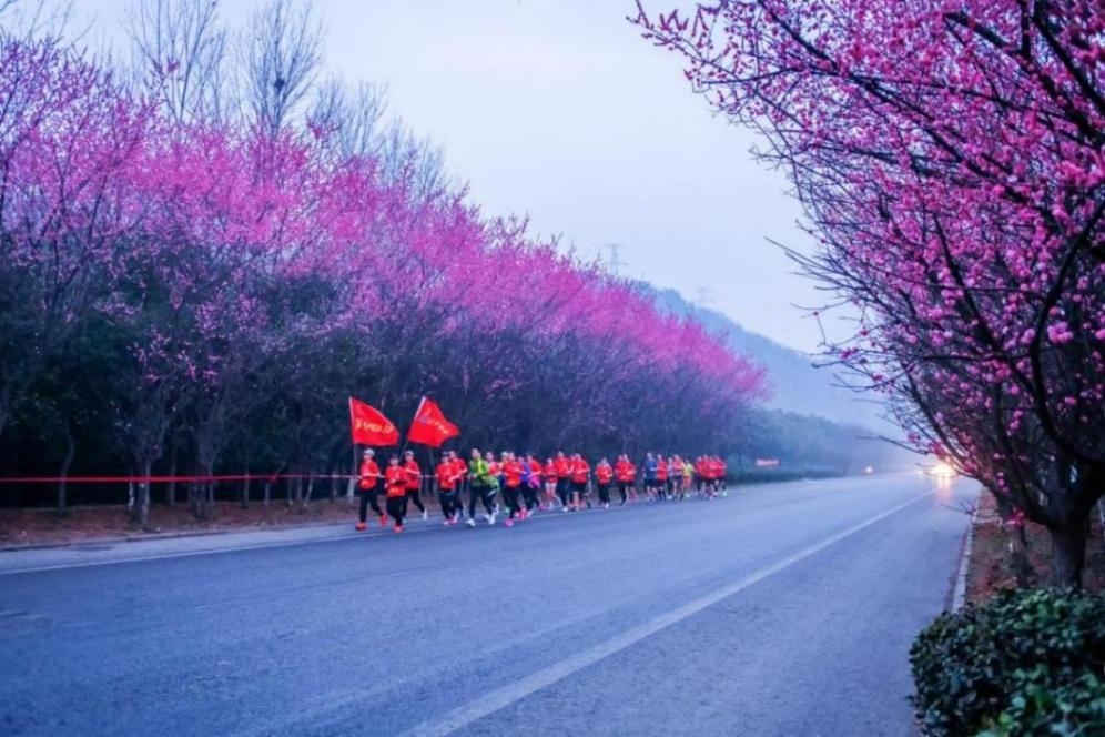 94e6c811f04e66c228a6194121384af