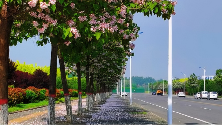 7f66f583c21fac886d6c707978d1021