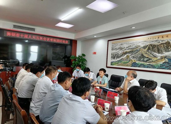 陈英杰参加人大讨论2.jpg