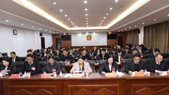 市十一届人大四次会议举行主席团第四次会议 (2)_副本.jpg
