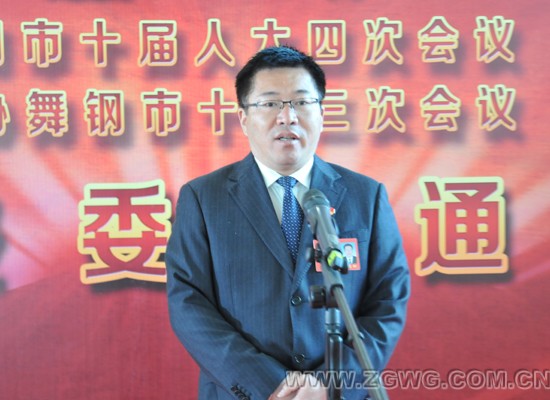 代表委员通道郭志钢抓好贯彻落实展现新的作为